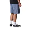 ION Denim Shorts
