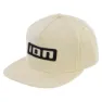 ION ic Keps