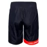 IQ Bexley Shorts