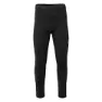 IQ Irone Leggings male