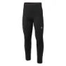 IQ Irone Leggings Man