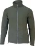 Loden green
