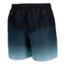 Izas Boe Shorts