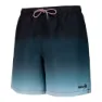 Izas Boe Shorts