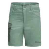 Jack Wolfskin Active Shorts Jack Wolfskin Active Shorts
