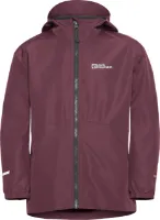 Jack Wolfskin Kids' Iceland 3-in-1 Jacket