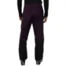Jack Wolfskin Men's Alpspitze Tour 3l Pants