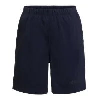 Jack Wolfskin Men's Desert Shorts Jack Wolfskin Men's Desert Shorts