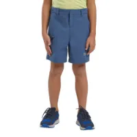Jack Wolfskin Turbulence Shorts Jack Wolfskin Turbulence Shorts