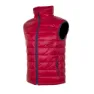 Dark red / navy
