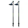 Joluvi Nordic Carbon Pro 2 Stavar, Black / blue, 85-135cm