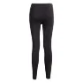 Joma R-night Leggings female