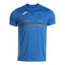 Royal blue 2
