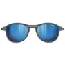 Julbo Link Polariserade Solglasögon