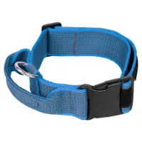 Julius K-9 Collar 40 Mm Hundhalsband Julius K-9 Collar 40 Mm Hundhalsband