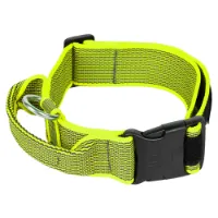 Julius K-9 Collar 40 Mm Hundhalsband Julius K-9 Collar 40 Mm Hundhalsband