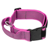Julius K-9 Collar 50 Mm Hundhalsband Julius K-9 Collar 50 Mm Hundhalsband