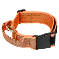 Julius K-9 Collar 50 Mm Hundhalsband Julius K-9 Collar 50 Mm Hundhalsband