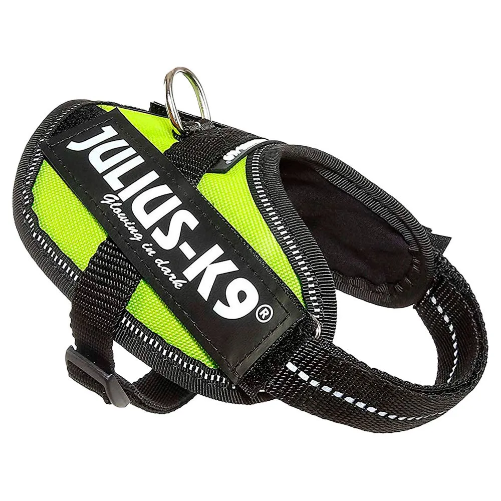 Julius K-9 Idc Baby Hundsele Julius K-9 Idc Baby Hundsele