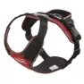 Red gray 1