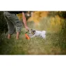 Julius K-9 Multifunktionell Motivator, Orange, 14mm x 5m
