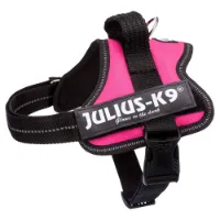 Julius K-9 Power Hundsele Julius K-9 Power Hundsele