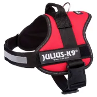 Julius K-9 Power Hundsele Julius K-9 Power Hundsele