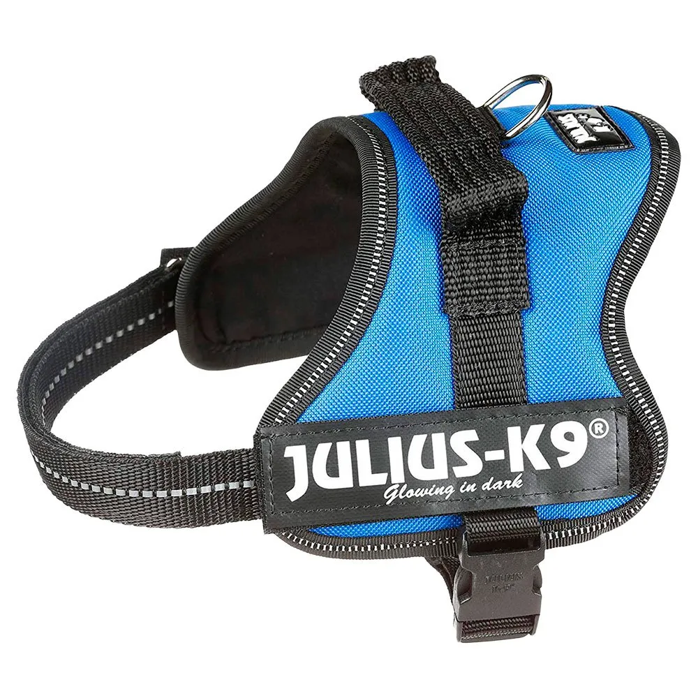 Julius K-9 Power Hundsele