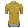 Gold Yellow 2