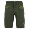 Rifle green / cedar green 1