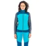 Bluebird / moroccan blue