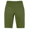 Cedar green