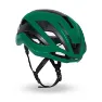 Beetle Green
