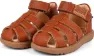 Light Brown 2