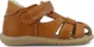 Light Brown 1