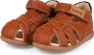 Light Brown 2