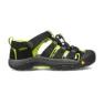 KEEN Men's Newport H2 Sandal