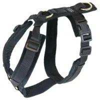 Kentucky Active Velvet Hundsele Kentucky Active Velvet Hundsele