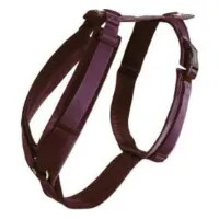Kentucky Active Velvet Hundsele Kentucky Active Velvet Hundsele