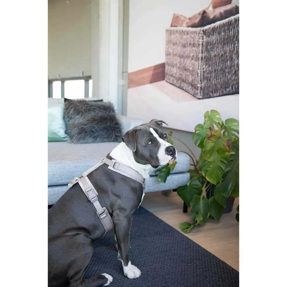 Kentucky Active Velvet Hundsele