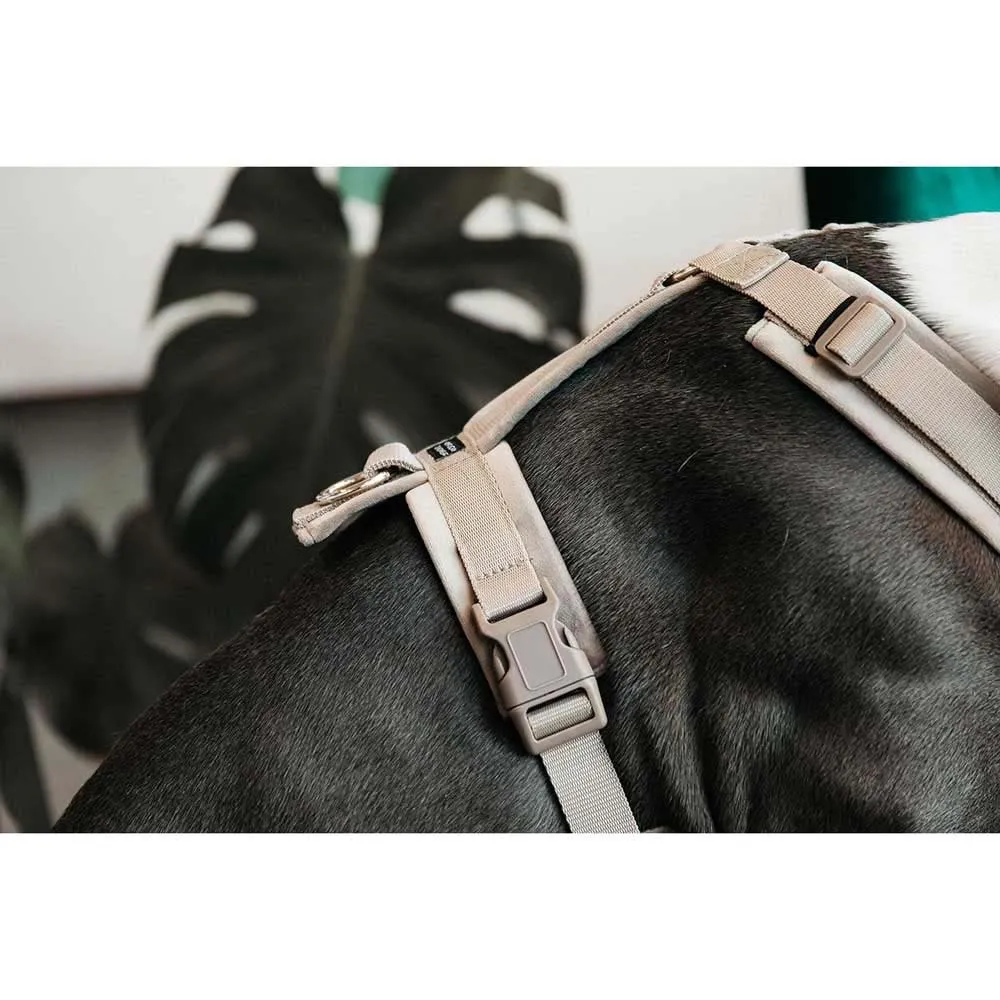 Kentucky Active Velvet Hundsele