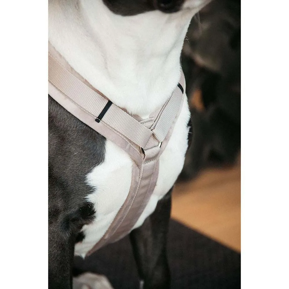 Kentucky Active Velvet Hundsele