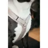 Kentucky Active Velvet Hundsele
