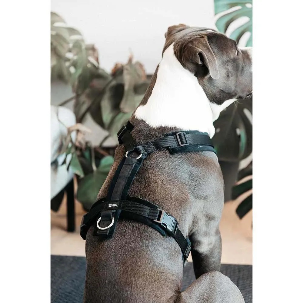 Kentucky Active Velvet Hundsele Kentucky Active Velvet Hundsele