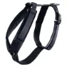 Kentucky Active Velvet Hundsele