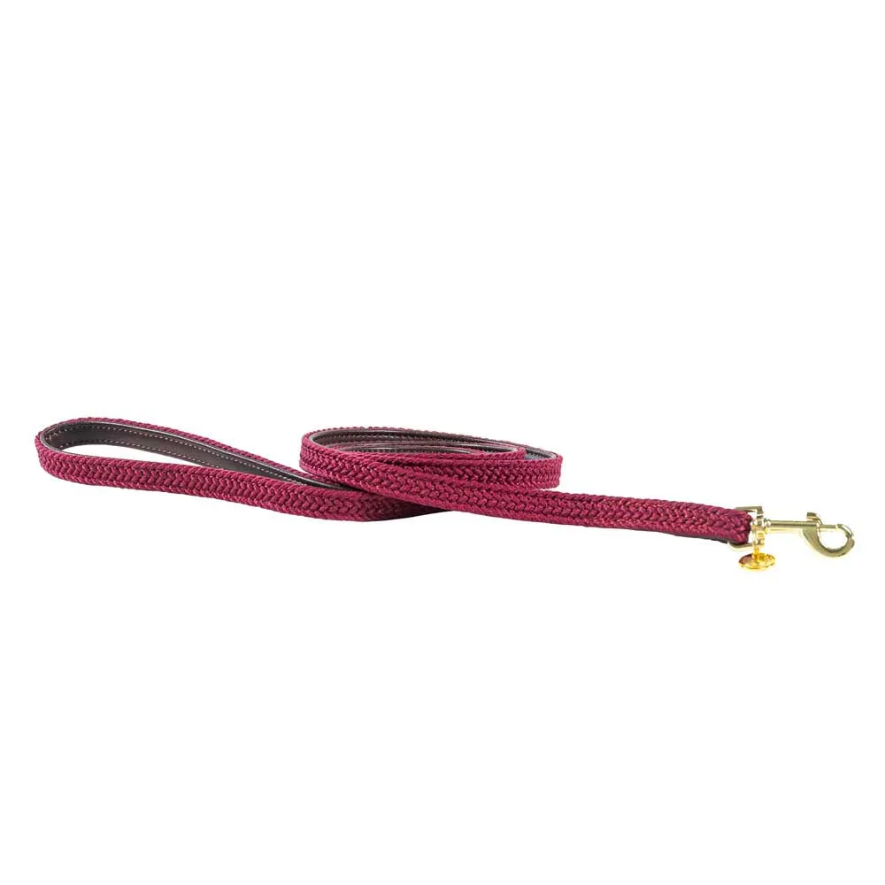 Kentucky Nylon Plaited Hundkoppel 12 Mm