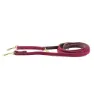 Kentucky Nylon Plaited Hundkoppel 12 Mm