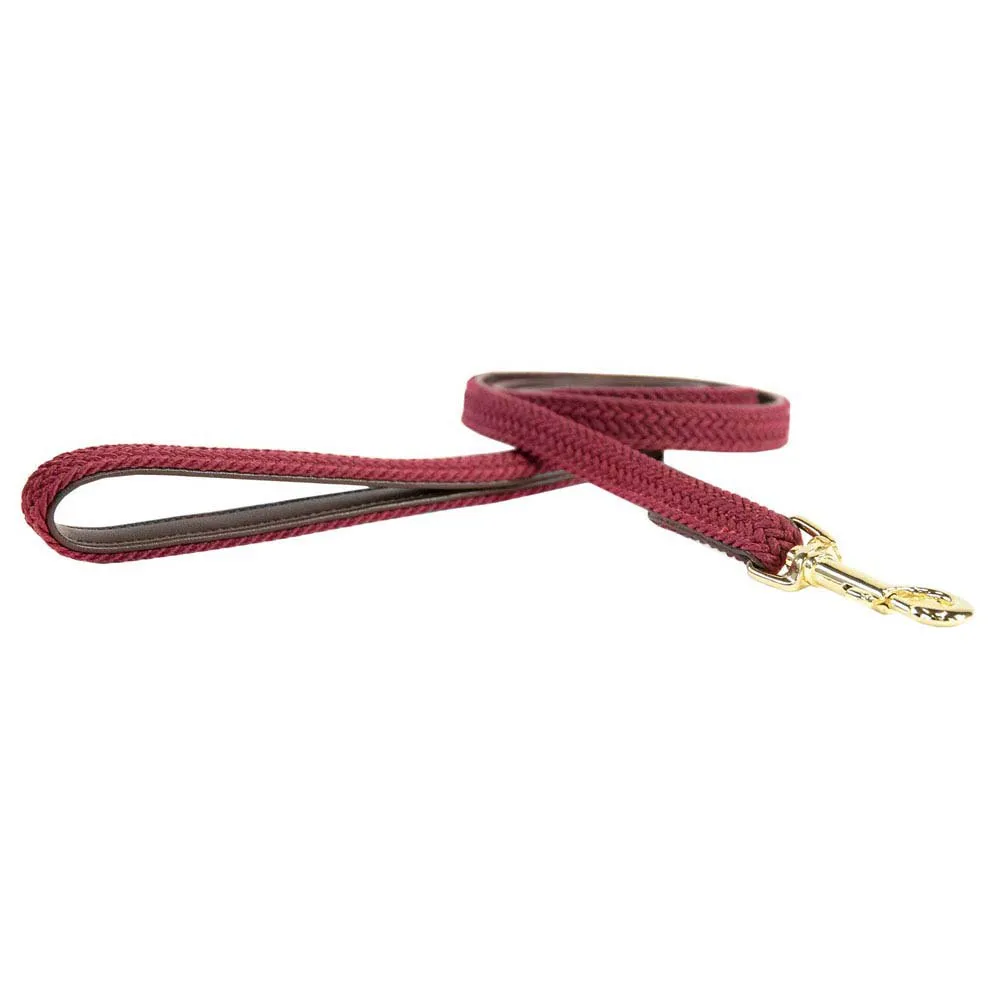 Kentucky Nylon Plaited Hundkoppel 15 Mm