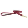 Kentucky Nylon Plaited Hundkoppel 15 Mm