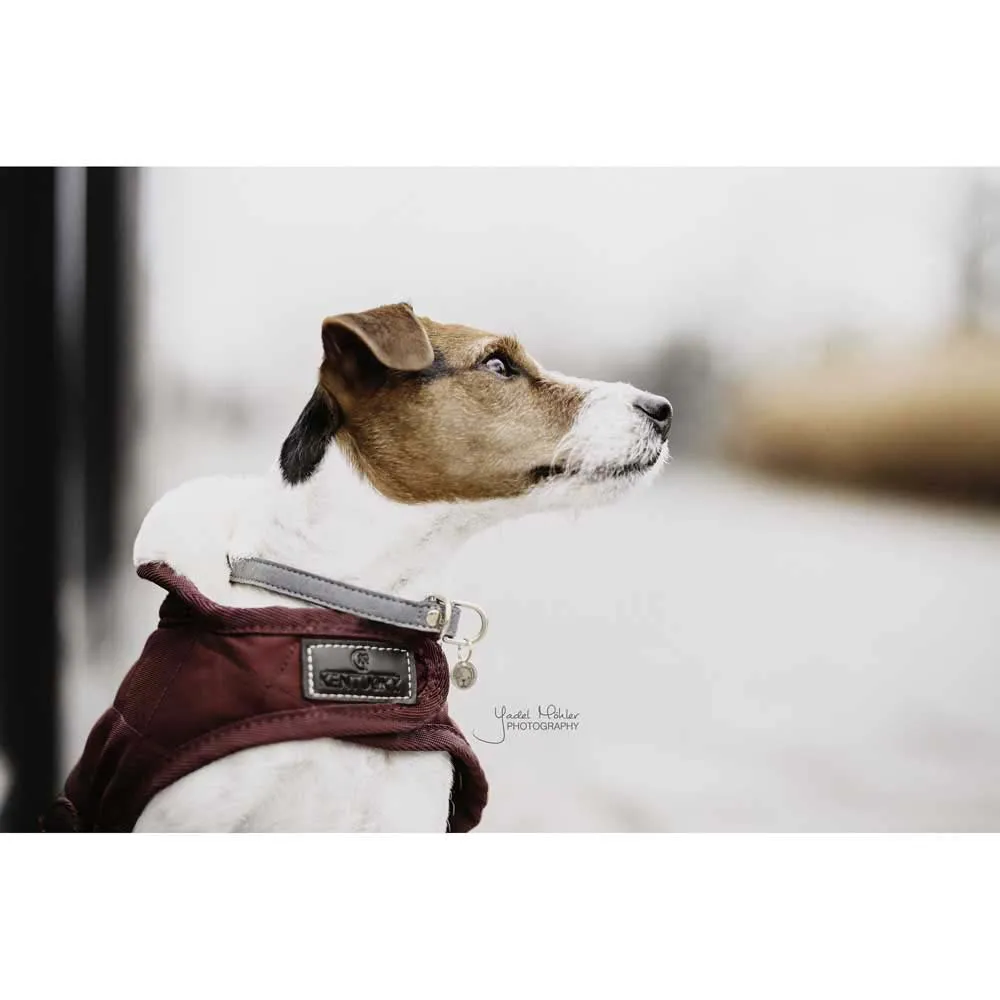 Kentucky Original Hundjacka
